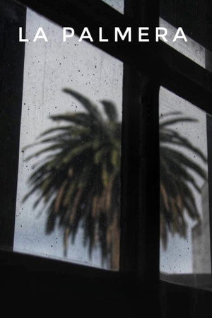 La palmera poster