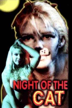 Night of the Cat
