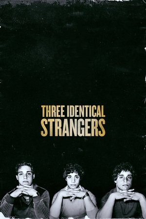 Three Identical Strangers (2018) Legendado Online