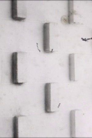 Modern Island poster