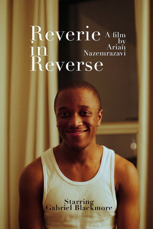 Reverie in Reverse poster