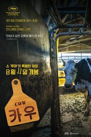 카우