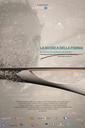 La Ricerca della Forma