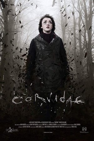 Corvidae