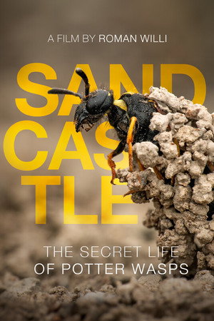 Sandcastle - The Secret Life Of Potter Wasps poster