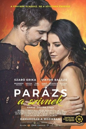 Parázs a szívnek