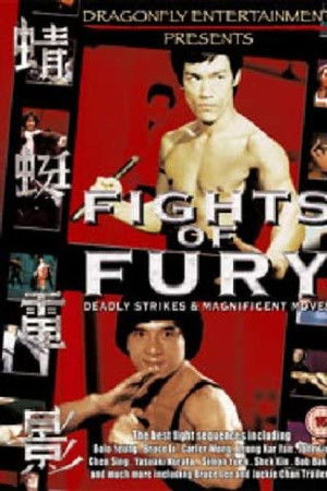 Fights of Fury