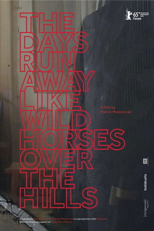 The Days Run Away Like Wild Horses Over the Hills