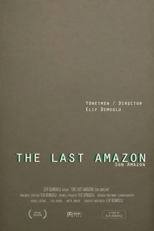 Son Amazon poster