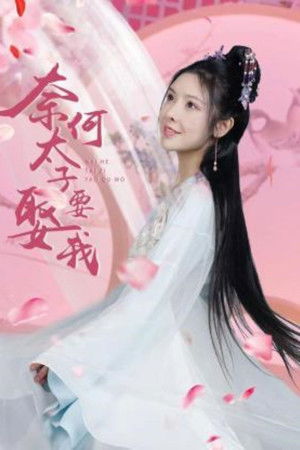 奈何太子要娶我