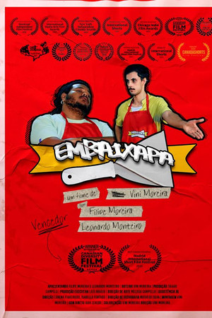 Embaixapa poster