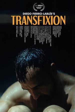 Transfixion poster