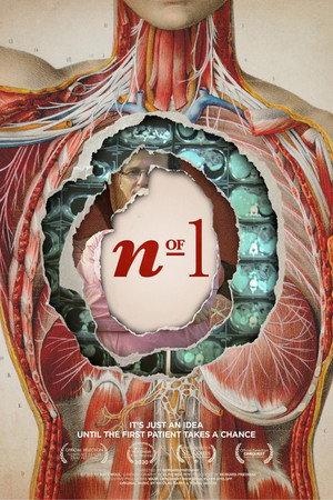 N of 1 poster