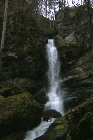 落水散景