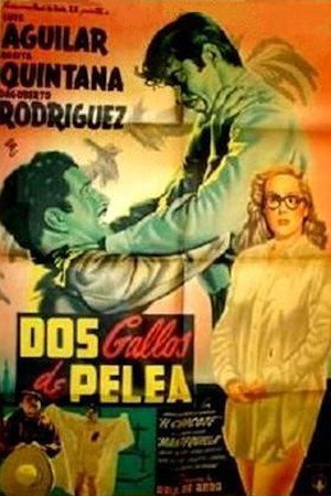 Dos gallos de pelea