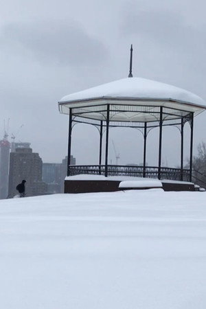 Después de una Tormenta de nieve