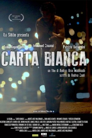 Carta bianca