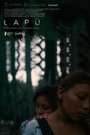 Lapü poster