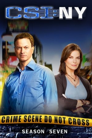 Les Experts : Manhattan