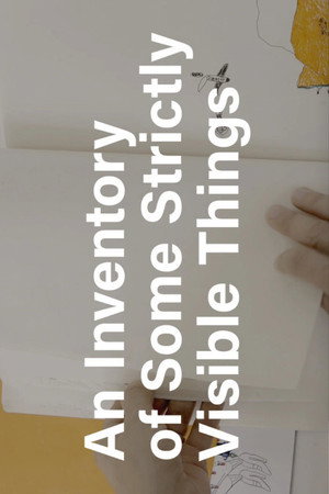 An Inventory of Some Strictly Visible Things poster