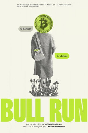 Bull Run poster