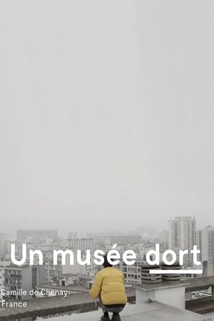 A Museum Sleeps