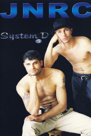 System D Version 3.0 poster