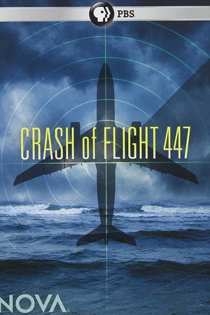 Crash of Flight 447 poster