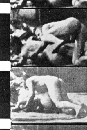 Filming Muybridge poster