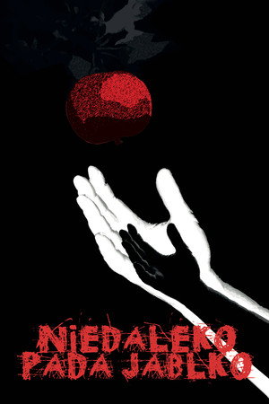Niedaleko pada jabłko