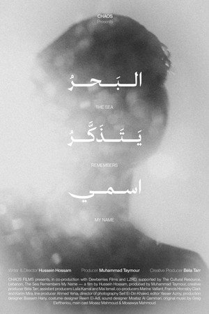 The Sea Remembers My Name poster