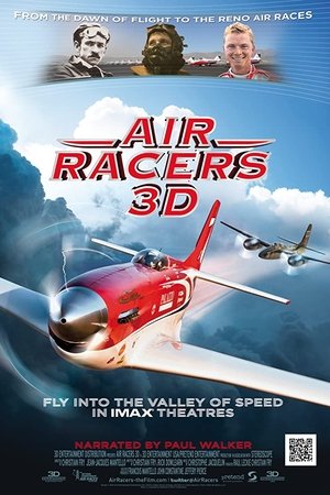 Air Racers 3D