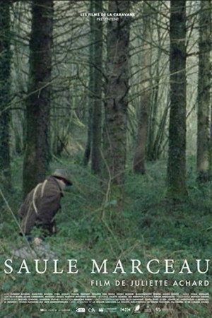 Saule Marceau poster