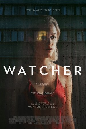 Imagem Watcher