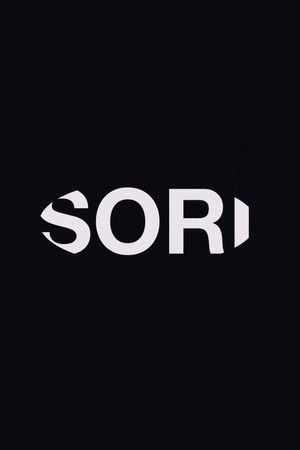 Sorry Toni poster