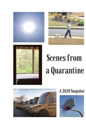 Scenes from a Quarantine