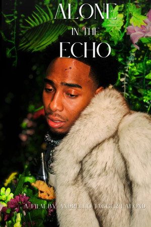 Alone in the Echo