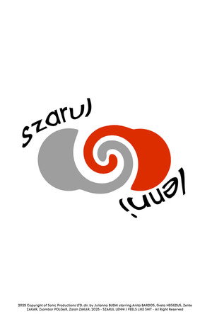 Szarul Lenni poster