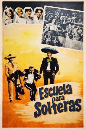 Poster of Escuela para solteras