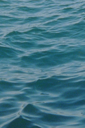 Water Diary poster