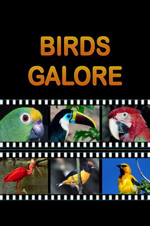 Birds Galore