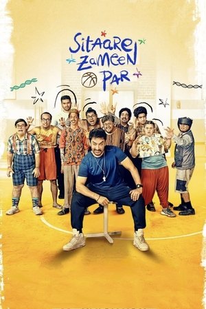 HDmoviesHUB Sitaare Zameen Par 2025 Hindi Full Movie HDTS 480p 720p 1080p Download
