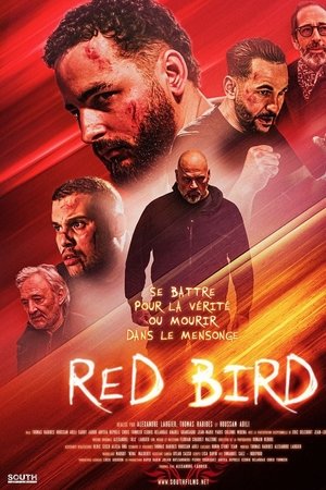 Red Bird