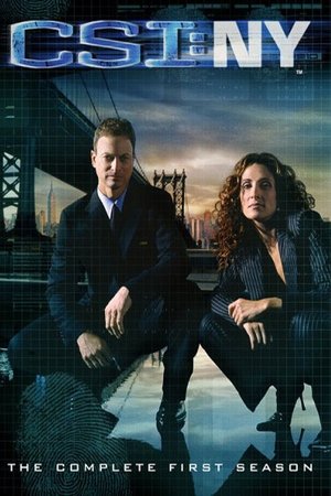 Les Experts : Manhattan
