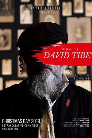 Who is David Tibet?