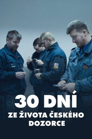 30 dní ze života českého dozorce poster