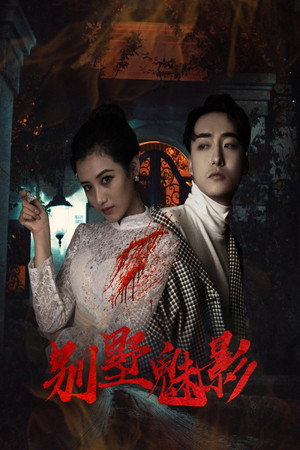 The Phantom of the Villa poster