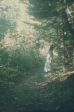To the Forest poster