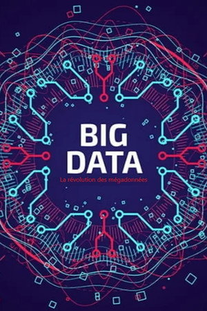 Big Data - La révolution des mégadonnées poster
