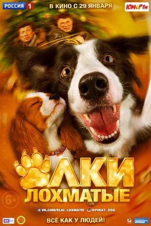 Paws Bones and Rock And Roll (2016)